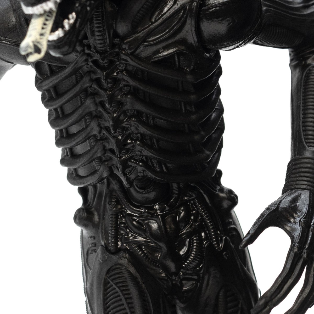 Alien Deluxe Xenomorph 9 Inch Vinyl Statue 840070963450| eBay