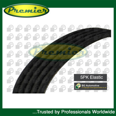 Premier V Ribbed Drive Belt Fits Ford Focus C-Max 2003-2007 1.8 1301909