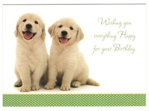pics Happy Birthday Yellow Lab Image brl