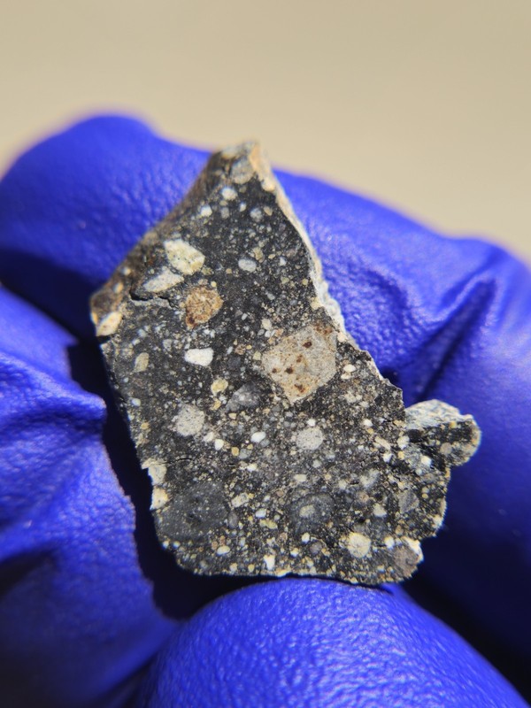 NWA 18439 Lunar Regolith Breccia 1.164g Galaxy Matrix Moon Rock