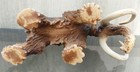 Bild 5 von 11