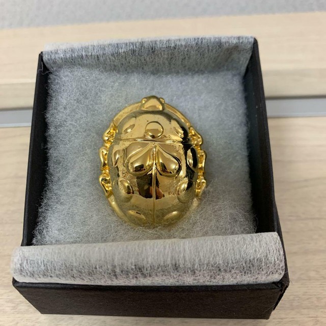 JoJo's Bizarre Adventure × Ultra Violence Giorno Giovanna Ladybug