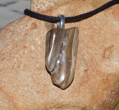 Petrified Wood Free Form Stone Crystal Healing Pendant Adjustable Cord Necklace