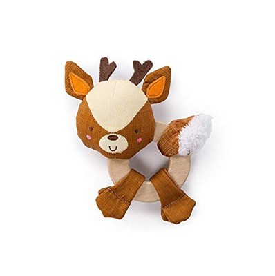 Simply Bright Starts Clutchhold Holzspielzeug 11146-01 von Kids II von JP