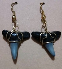 Sand Tiger Shark Tooth Fossil Earrings Wire Wrapped Y2K Boho Coastal