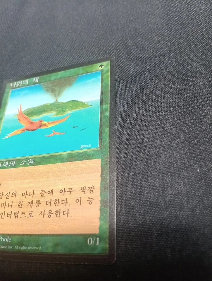 Birds of Paradise Fourth Edition Foreign Black Border Korean Near Mint LP - Image 2 of 4