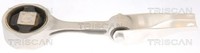 Motorlager Triscan 8505 29106 FüR VW Polo 4 5 6R1 6C1 9A4 9A2 9N2 9A6 FOX 5Z1 2