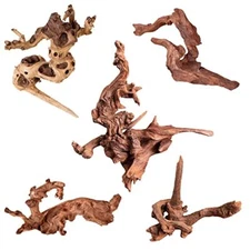  Natural Small Coral Driftwood for Mopani Driftwood 4.5 to 7.5 Inch (Pack of 5)