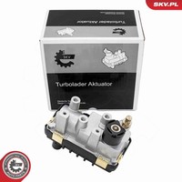 Esen SKV Ladedruckregelventil 95SKV484 FüR Opel Antara L07 Cdti 4X4 Chevrolet
