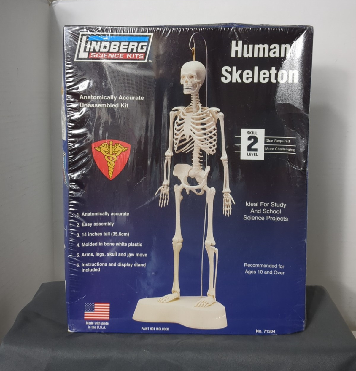 S Anatomically Accurate Boxdent
