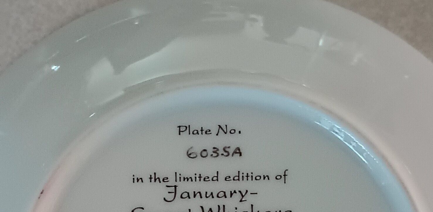 Picture 14 of 14