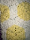 Bild 6 von 11