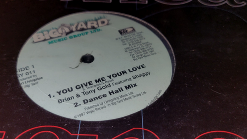 Brian & Tony Gold Featuring Shaggy You Give Me Your Love 12" Vinyl (NEW SEALED) - Picture 2 of 3