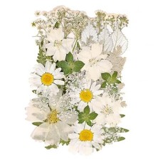 White Dried Pressed Flowers for Crafts - Real Natural Dried Flowers and Leaves