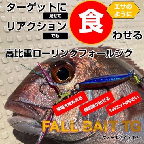 Fishing Lure New Daiwa Tungsten Jig Fall Bait TG 80g Keimuraiwashi - Image 2