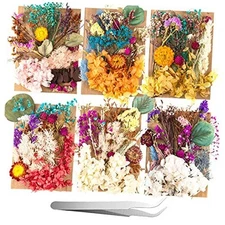Nuanchu 200 Pcs Natural Dried Pressed Flowers and Leaves Resin Real Dried 