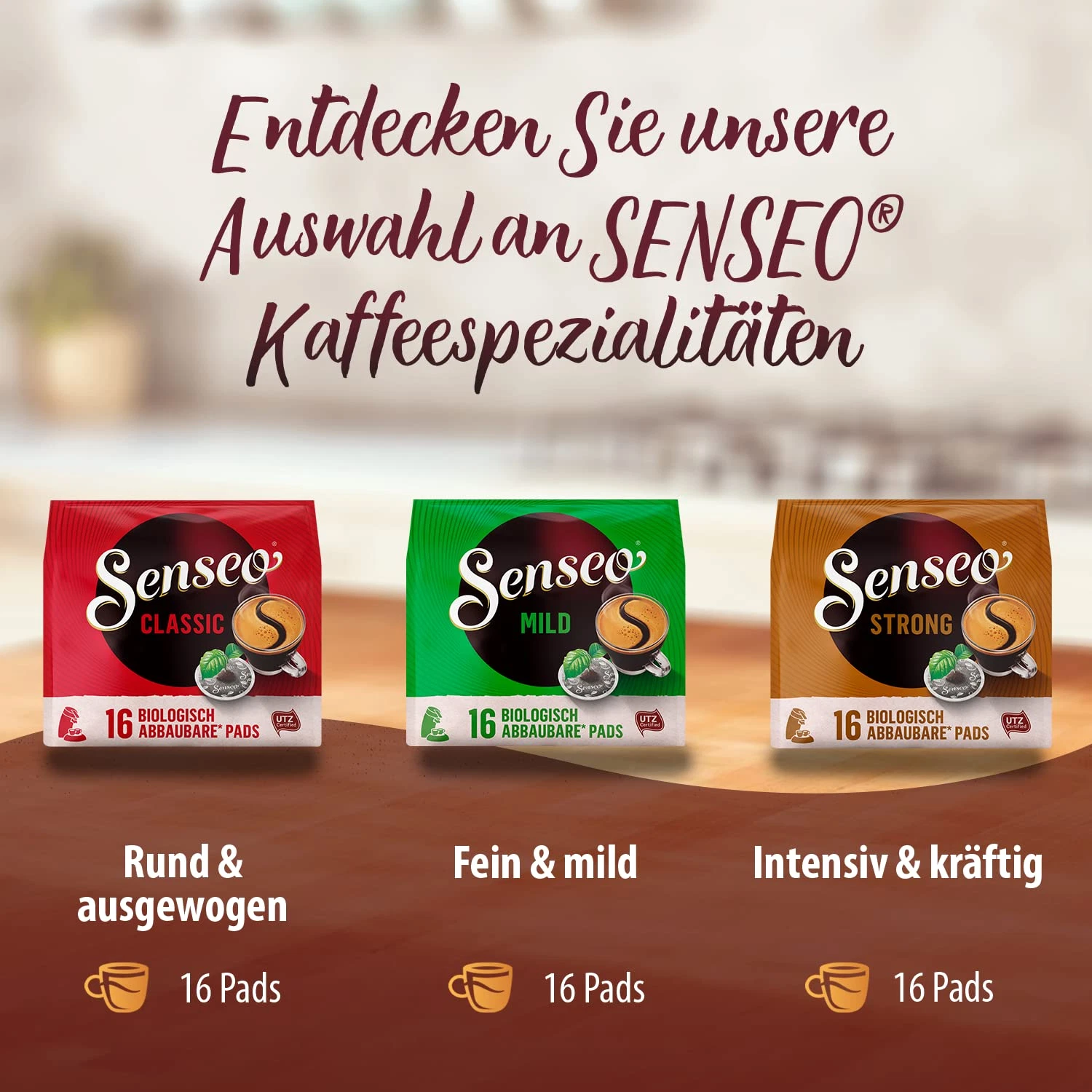 Bild 6 von 12