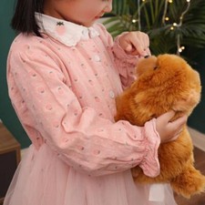 Nuevo Lindo Juguete de Peluche Chow Perro de 10 pulgadas Suave Peluche Esponjoso Muñeca Almohada