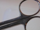 MILTEX VANTAGE WHITE NAIL DOG SCISSORS MODEL V1718 — photo 5
