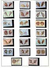 timbres coquillages d' Angola