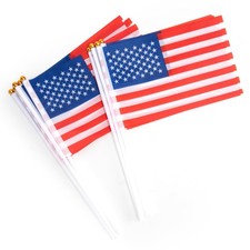 12 Pack Small American Flags on Stick, Mini US Hand Held Flags for Indoor Outdoo