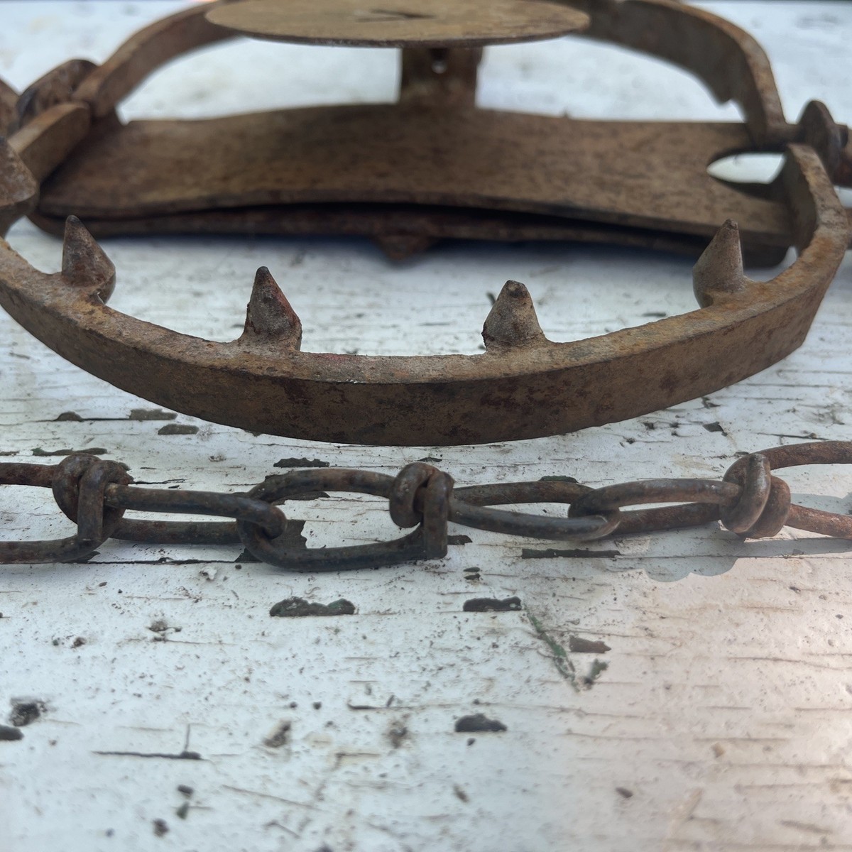 Victor No. 14 Oneida Community Jump Trap With Teeth for