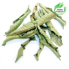 Feuilles de goyave feuilles entières séchées bio Psidium guajava Guayabo...