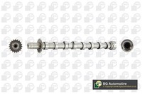 BGA CS5524 Nockenwelle FüR CitroËN Passend FüR Fiat Ford Peugeot Volvo