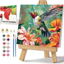 hkejoi Hummingbird Paint by Numbers Kit for Adults Beginner, Bird Paint by Numbe