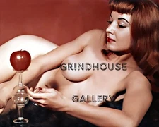 Vintage 1940s 1950s Photo Pretty Cheesecake Pinup Woman Naughty Boudoir #5B