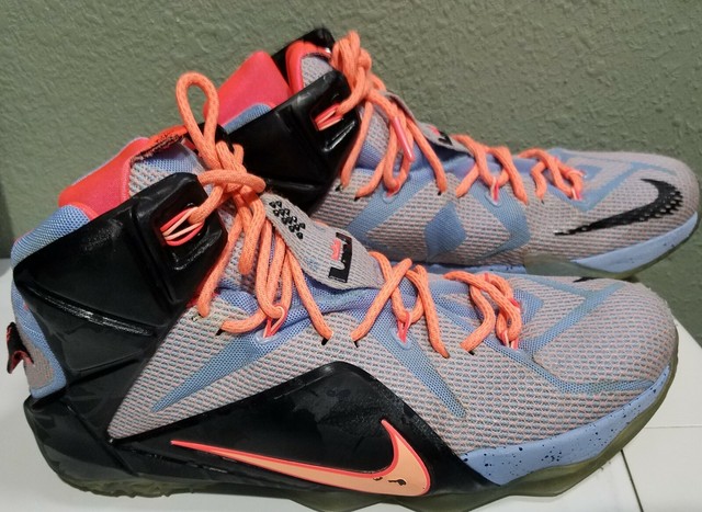 lebron shoes for sale online