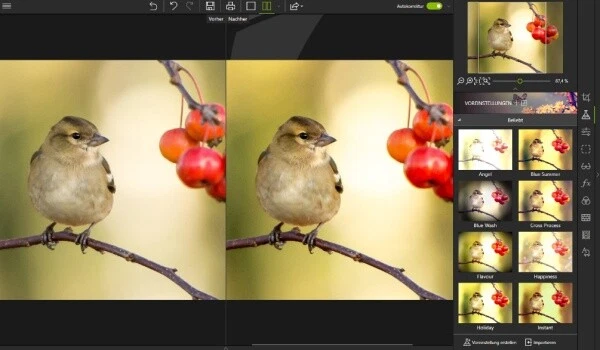 Photo Studio 10 Pro Windows (Code in a Box) EAN 4023126121820 - Bild 3 von 4