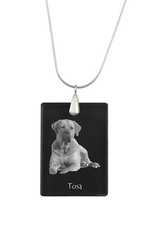 Tosa Inu, Tosa-Ken, Japanese Mastiff - Crystal pendant with dog, silver necklace
