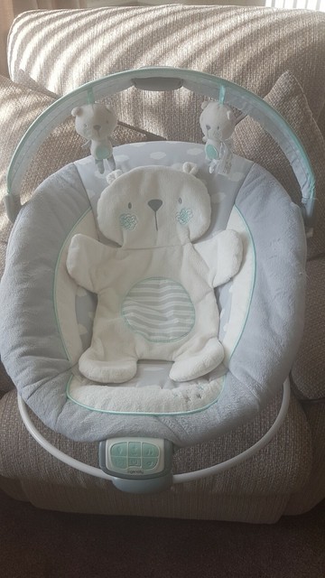 ingenuity bear bouncer