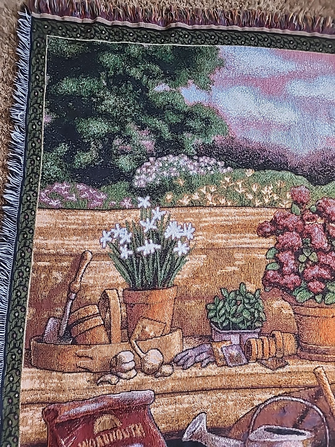 Picture 2 of 8