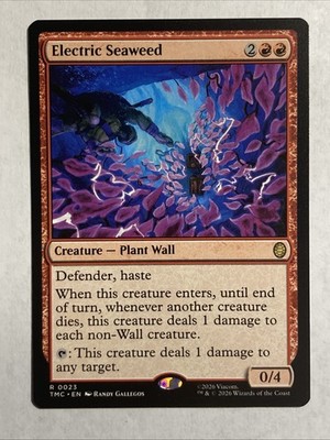 Electric Seaweed Commander: Teenage Mutant Ninja Turtles Regular
