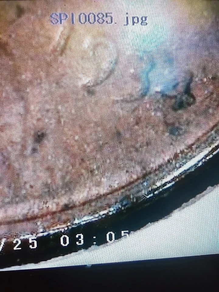 1934 DDO-004 ( FS-101 )  Lincoln Wheat Cent ✴️ FREE SHIPPING ✴️ FREE RETURNS ✴️ - Image 2 of 4