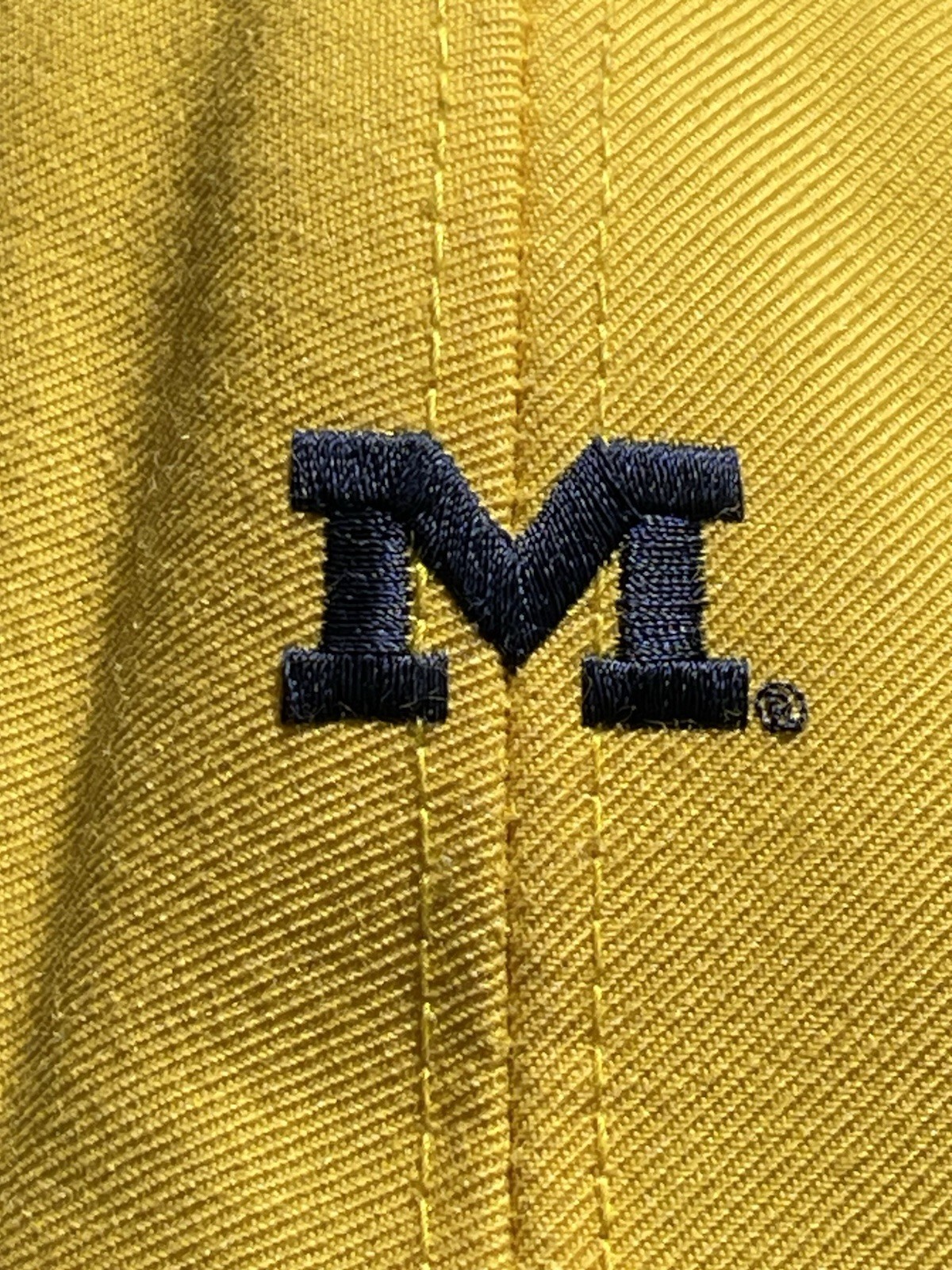 Vintage 90s Michigan Nike Hat strap back   Baseball Cap thumbnail 5