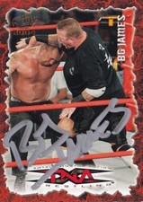 Road Dogg BG Jesse James Signed 2004 Pacific TNA Card #23 WWE Legend Autograph