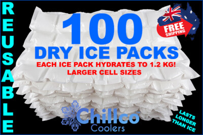 dry ice packs for shipping