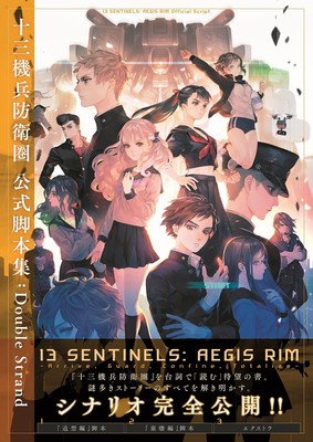 Jusan Sentai Defense Zone Offizielle Szenariosammlung: Double Strand Japan