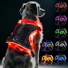 LED Dog Harness High Visibility Rechargeable Safety Illuminated Light in Multipl