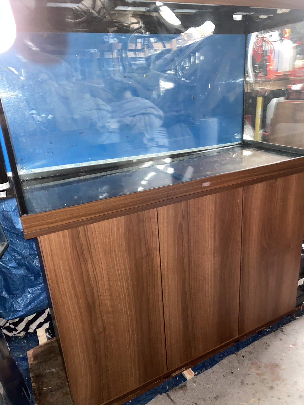 Aquarium Fish Tank Juwel Rio 350 4ft & Filter Accessories. eBay