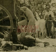 WW2 ORIGINAL GERMAN NUDES PHOTO NUDE NAKED NACKTE SOLDIER SUNBATHING