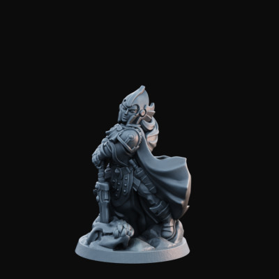 Paladin Female Epic pose Fine Detailed DnD Miniatures RPG Tabletop Models