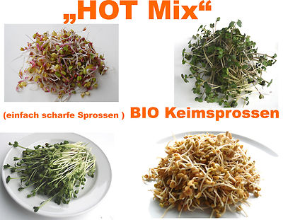 400g Hot Mix Bio Keimsaat Keimsprossen Saatgut Bio-Sprossen einfach scharf  | eBay.de