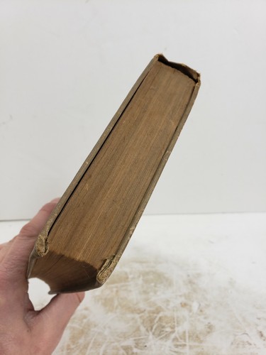 Betty of The Rectory, by Mrs LT Meade, 1908 Antique Book - Picture 5 of 12