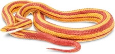 Safari Ltd.Corn Snake Figurine - Lifelike 5.25" Model Figure - Educational...