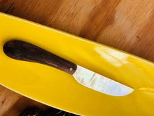 Beautiful Wood-Handled MOTHER OF PEARL KNIFE Cheese Spread Butter 5" Long LOVELY