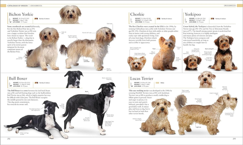 The Dog Encyclopedia: the Definitive Visual Guide - Picture 11 of 12